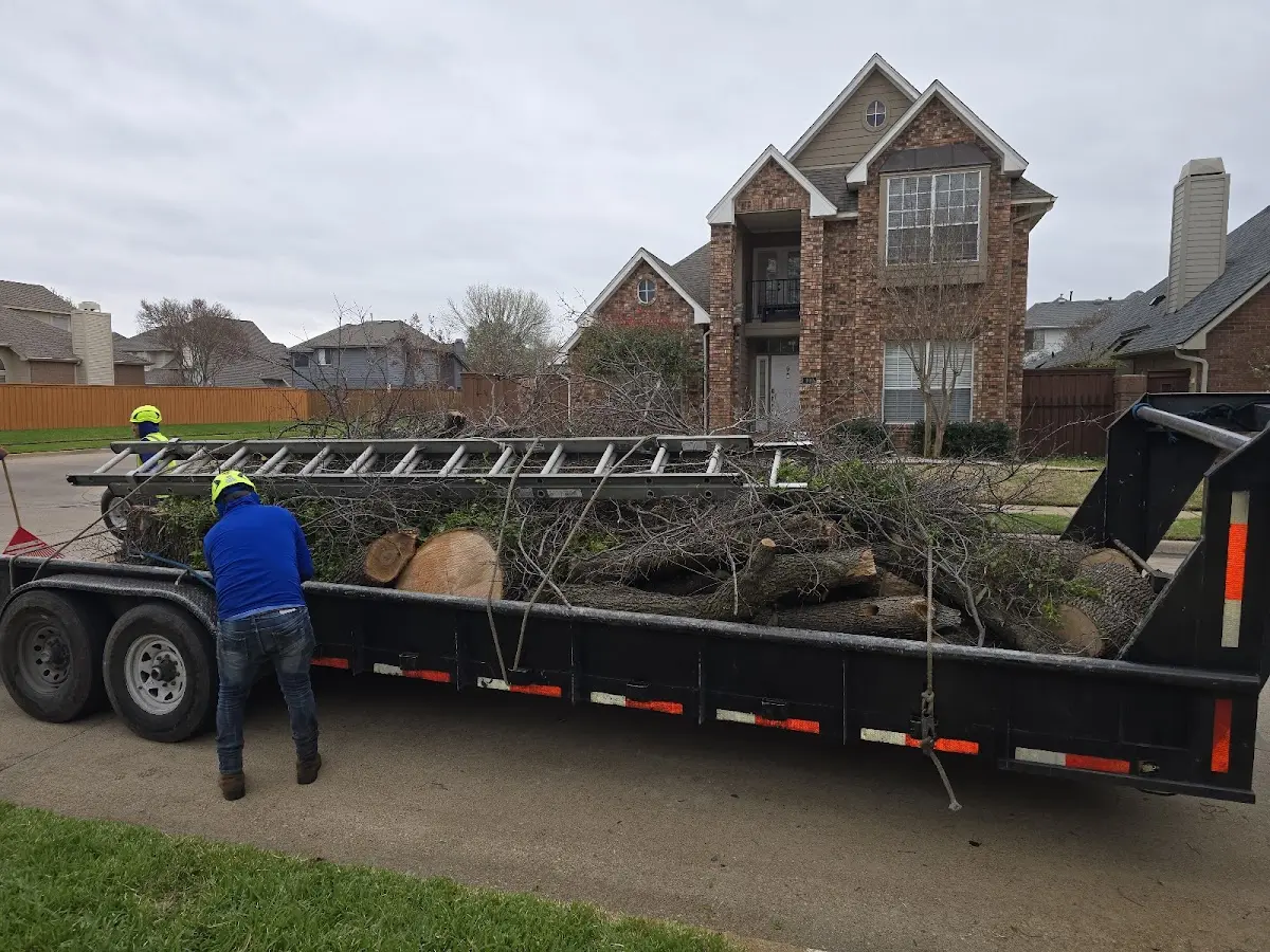 Expert Tree Removal with proper safety equipment in North Kingsville